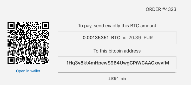 bitcoin Payment