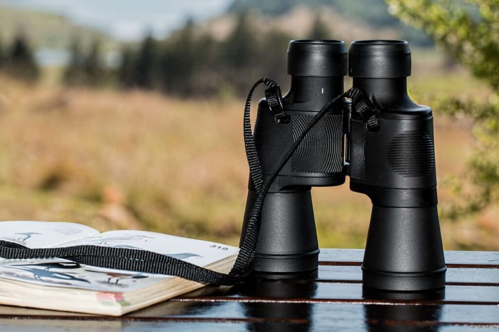 bird watching with binoculars