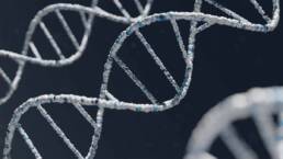 epigenetics DNA